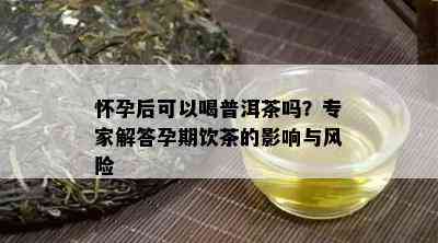 怀孕后可以喝普洱茶吗？专家解答孕期饮茶的影响与风险