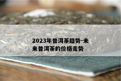 2023年普洱茶趋势-未来普洱茶的价格走势