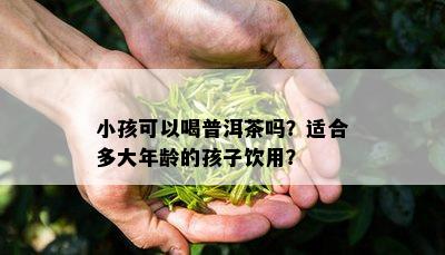 小孩可以喝普洱茶吗？适合多大年龄的孩子饮用？