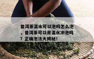 普洱茶温水可以泡吗怎么泡，普洱茶可以用温水冲泡吗？正确泡法大揭秘！