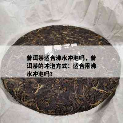 普洱茶适合沸水冲泡吗，普洱茶的冲泡方式：适合用沸水冲泡吗？