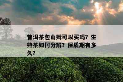 普洱茶包山姆可以买吗？生熟茶如何分辨？保质期有多久？