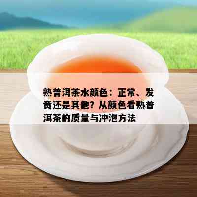 熟普洱茶水颜色：正常、发黄还是其他？从颜色看熟普洱茶的质量与冲泡方法