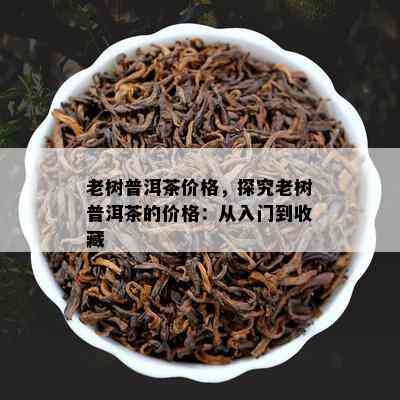 老树普洱茶价格，探究老树普洱茶的价格：从入门到收藏