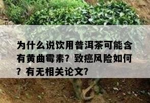 为什么说饮用普洱茶可能含有黄曲霉素？致癌风险如何？有无相关论文？