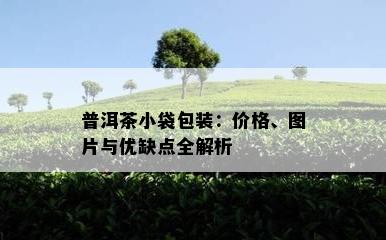 普洱茶小袋包装：价格、图片与优缺点全解析