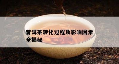 普洱茶转化过程及影响因素全揭秘