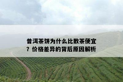 普洱茶饼为什么比散茶便宜？价格差异的背后原因解析