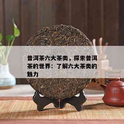 普洱茶六大茶类，探索普洱茶的世界：了解六大茶类的魅力