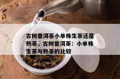 古树普洱茶小单株生茶还是熟茶，古树普洱茶：小单株生茶与熟茶的比较