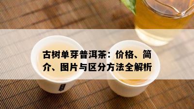 古树单芽普洱茶：价格、简介、图片与区分方法全解析