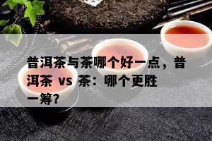 普洱茶与茶哪个好一点，普洱茶 vs 茶：哪个更胜一筹？