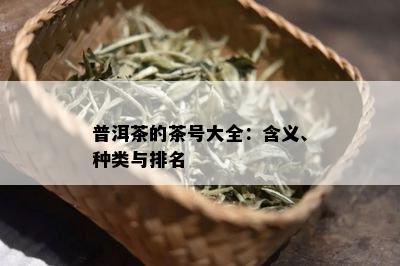 普洱茶的茶号大全：含义、种类与排名