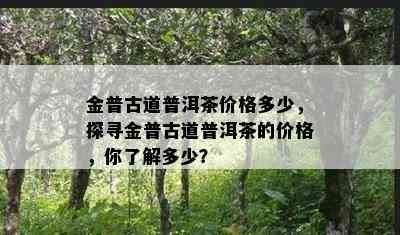 金普古道普洱茶价格多少，探寻金普古道普洱茶的价格，你了解多少？