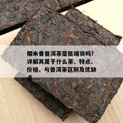 糯米香普洱茶是低端货吗？详解其属于什么茶、特点、价格、与普洱茶区别及优缺点