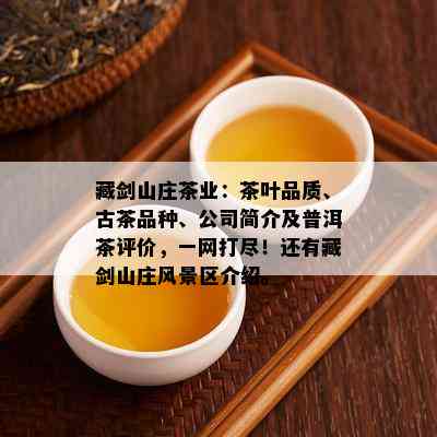 藏剑山庄茶业：茶叶品质、古茶品种、公司简介及普洱茶评价，一网打尽！还有藏剑山庄风景区介绍。