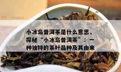 小冰岛普洱茶是什么意思，探秘“小冰岛普洱茶”：一种独特的茶叶品种及其由来