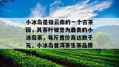 小冰岛是指云南的一个古茶园，其茶叶被誉为最贵的小冰岛茶，每斤售价高达数千元，小冰岛普洱茶生茶品质优良。