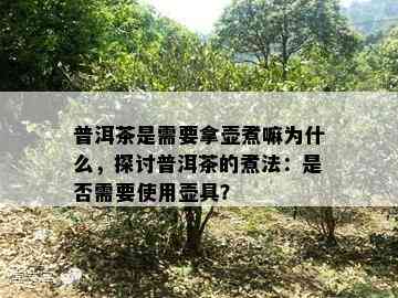 普洱茶是需要拿壶煮嘛为什么，探讨普洱茶的煮法：是否需要使用壶具？