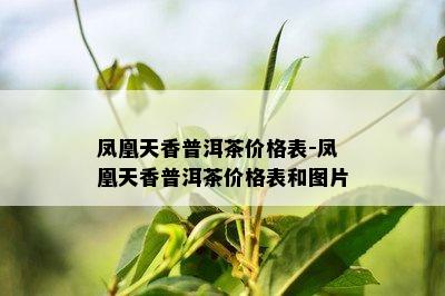 凤凰天香普洱茶价格表-凤凰天香普洱茶价格表和图片