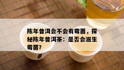 陈年普洱会不会有霉菌，探秘陈年普洱茶：是否会滋生霉菌？