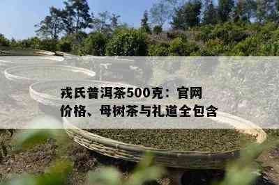 戎氏普洱茶500克：官网价格、母树茶与礼道全包含