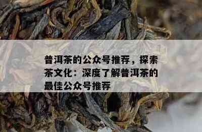 普洱茶的公众号推荐，探索茶文化：深度了解普洱茶的更佳公众号推荐