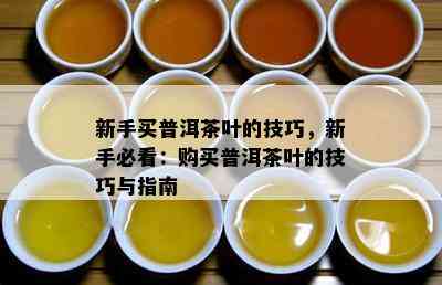 新手买普洱茶叶的技巧，新手必看：购买普洱茶叶的技巧与指南