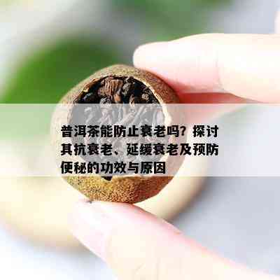 普洱茶能防止衰老吗？探讨其抗衰老、延缓衰老及预防便秘的功效与原因