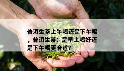 普洱生茶上午喝还是下午喝，普洱生茶：是早上喝好还是下午喝更合适？