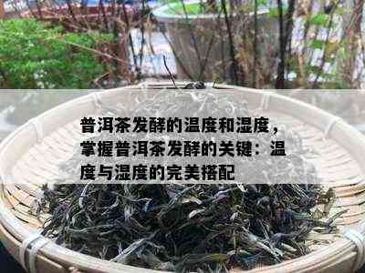 普洱茶发酵的温度和湿度，掌握普洱茶发酵的关键：温度与湿度的完美搭配