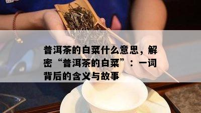 普洱茶的白菜什么意思，解密“普洱茶的白菜”：一词背后的含义与故事