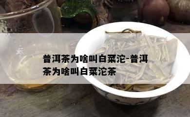 普洱茶为啥叫白菜沱-普洱茶为啥叫白菜沱茶