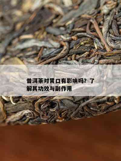 普洱茶对胃口有影响吗？了解其功效与副作用