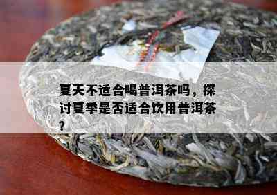 夏天不适合喝普洱茶吗，探讨夏季是否适合饮用普洱茶？