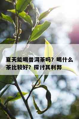 夏天能喝普洱茶吗？喝什么茶比较好？探讨其利弊