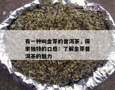 有一种叫金芽的普洱茶，探索独特的口感：了解金芽普洱茶的魅力