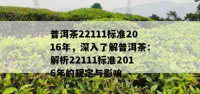 普洱茶22111标准2016年，深入了解普洱茶：解析22111标准2016年的规定与影响