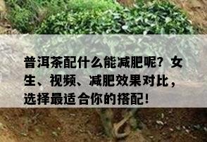 普洱茶配什么能减肥呢？女生、视频、减肥效果对比，选择最适合你的搭配！