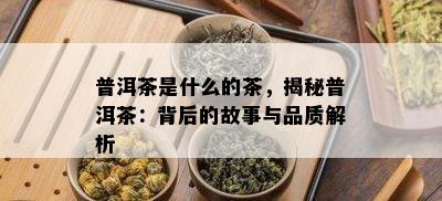 普洱茶是什么的茶，揭秘普洱茶：背后的故事与品质解析