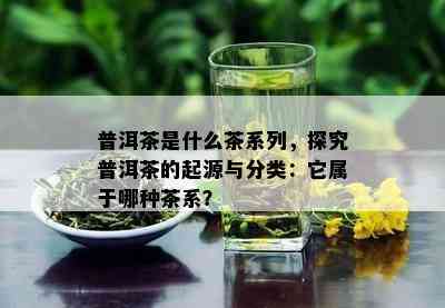 普洱茶是什么茶系列，探究普洱茶的起源与分类：它属于哪种茶系？