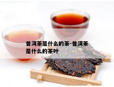 普洱茶是什么的茶-普洱茶是什么的茶叶