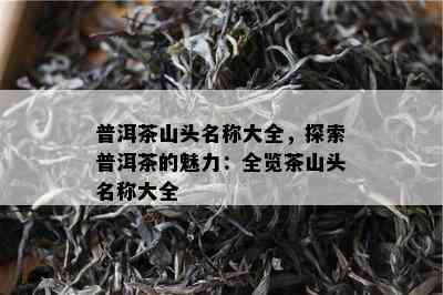 普洱茶山头名称大全，探索普洱茶的魅力：全览茶山头名称大全