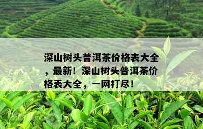 深山树头普洱茶价格表大全，最新！深山树头普洱茶价格表大全，一网打尽！