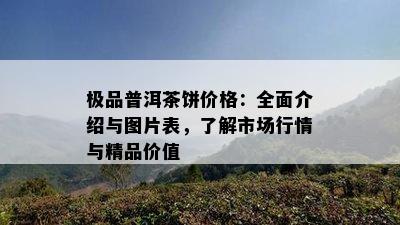 极品普洱茶饼价格：全面介绍与图片表，了解市场行情与精品价值