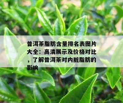 普洱茶脂肪含量排名表图片大全：高清展示及价格对比，了解普洱茶对内脏脂肪的影响