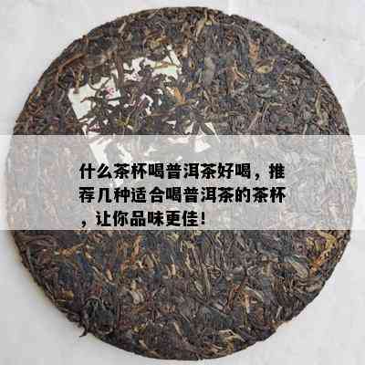 什么茶杯喝普洱茶好喝，推荐几种适合喝普洱茶的茶杯，让你品味更佳！