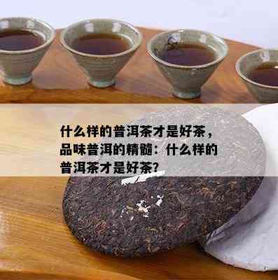 什么样的普洱茶才是好茶，品味普洱的精髓：什么样的普洱茶才是好茶？