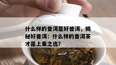 什么样的普洱是好普洱，揭秘好普洱：什么样的普洱茶才是上乘之选？