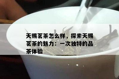 天赐茗茶怎么样，探索天赐茗茶的魅力：一次独特的品茶体验